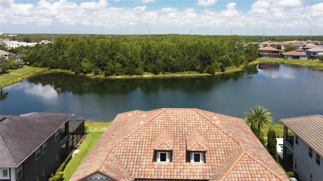 House in Lutz, Florida, United States 3 - 18422204