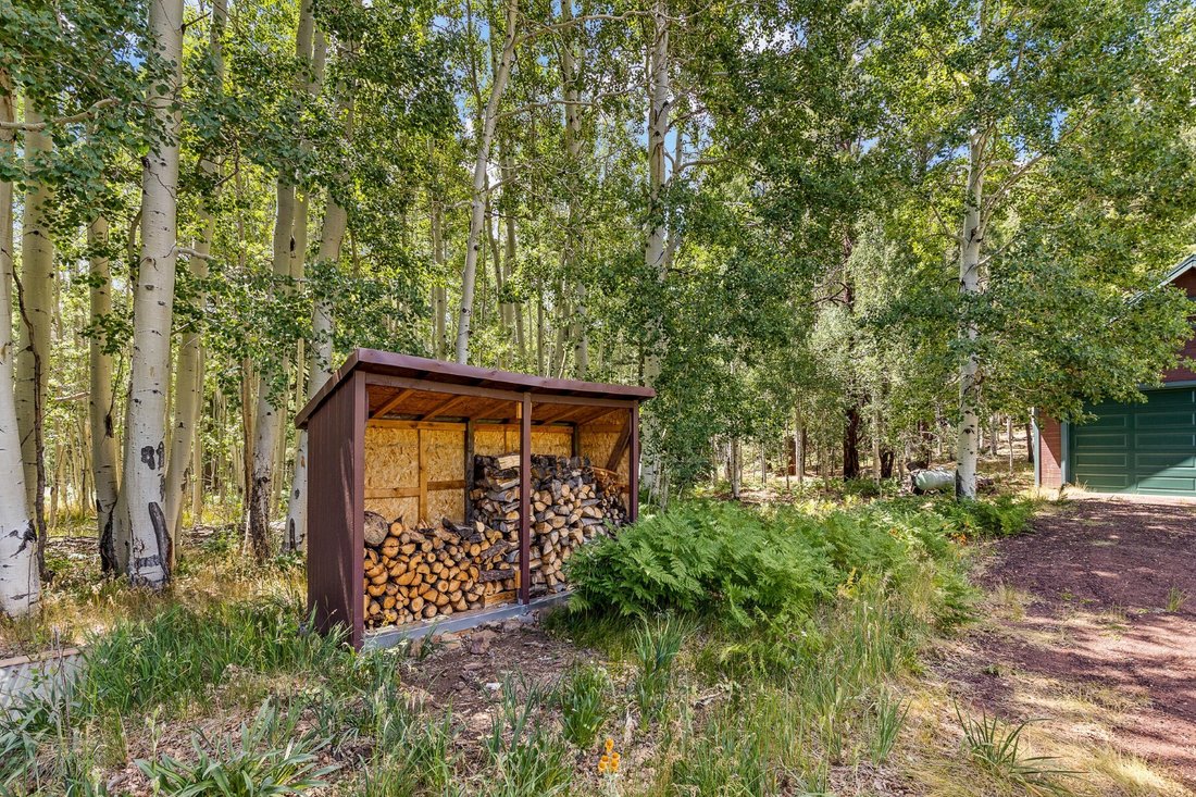 House in Flagstaff, Arizona, United States 4 - 18418294