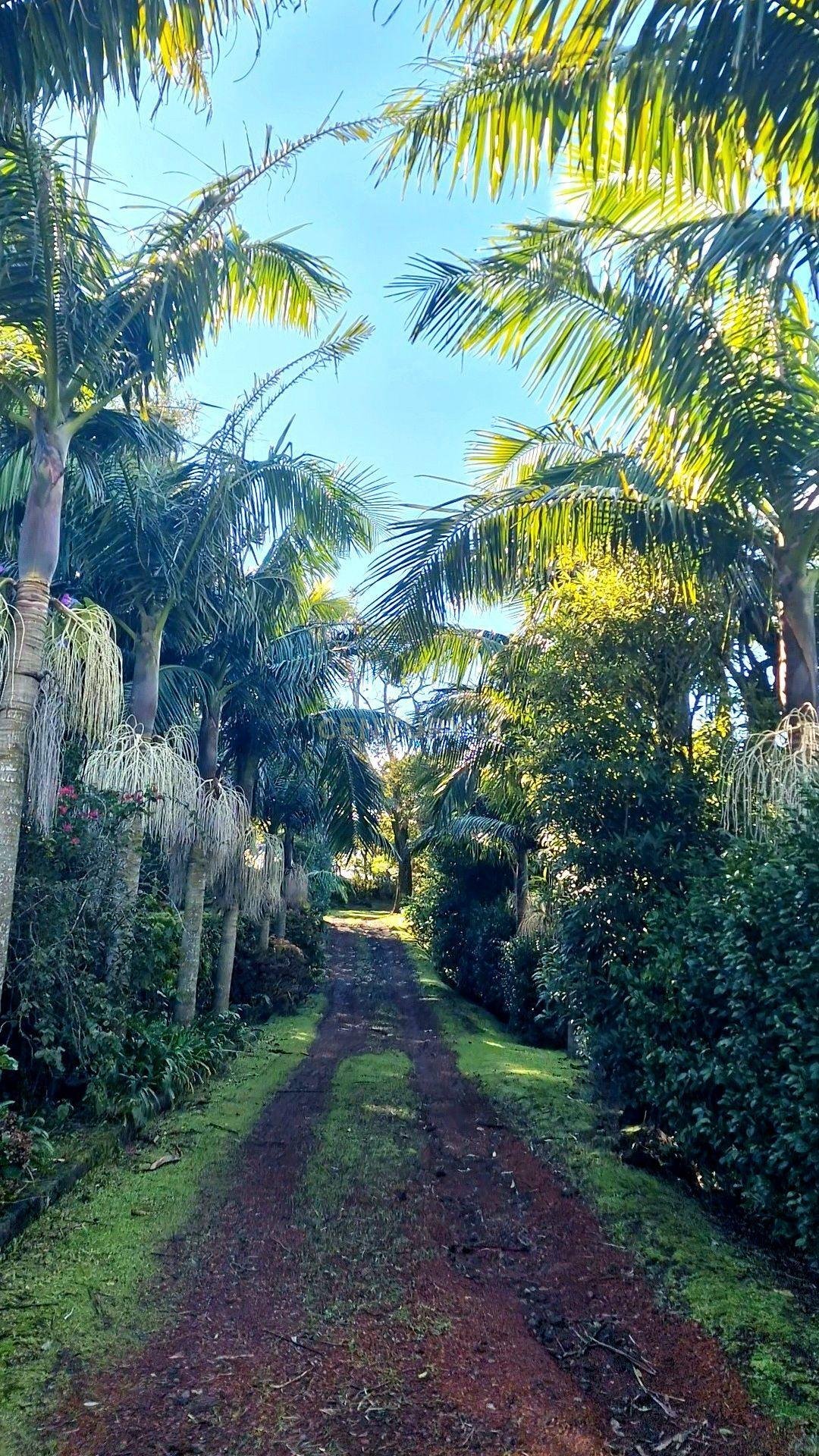 Villa en Capelas, Azores, Portugal 3 - 16635354