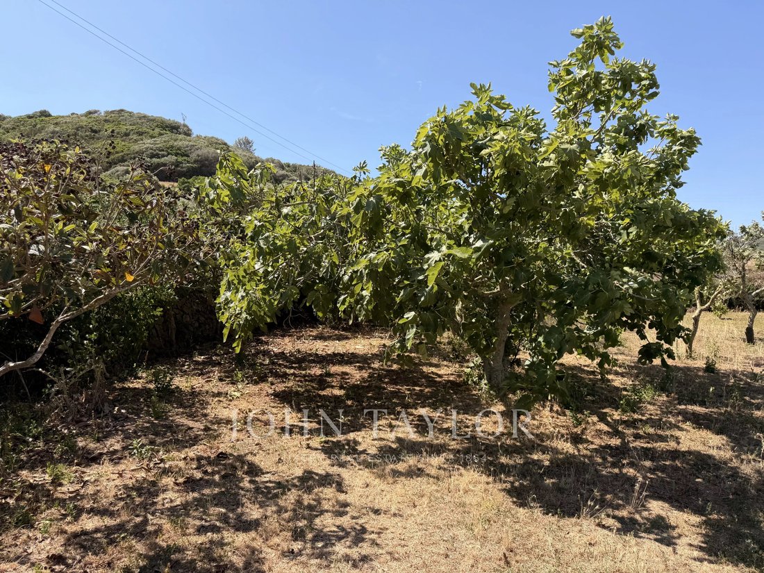 Estate in es Mercadal, Balearic Islands, Spain 5 - 18424334