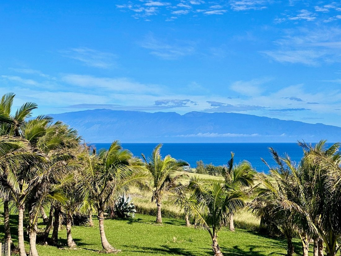 Terrain à Hawi, Hawaï, États-Unis 3 - 18423133