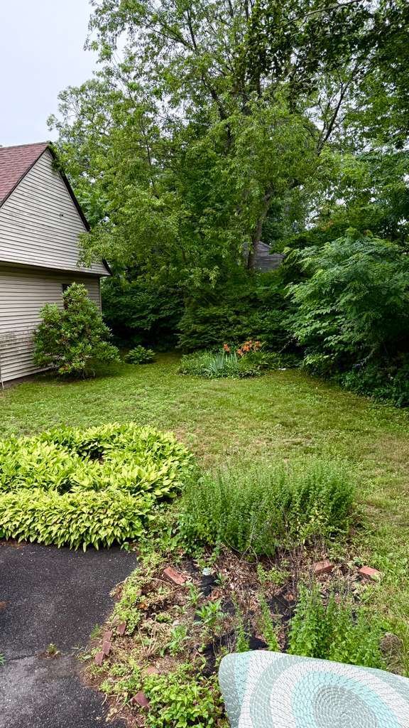 Apartment in Rockville Centre, New York, United States 5 - 18421696
