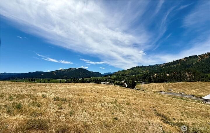 Land in Peshastin, Washington, United States 4 - 18124833