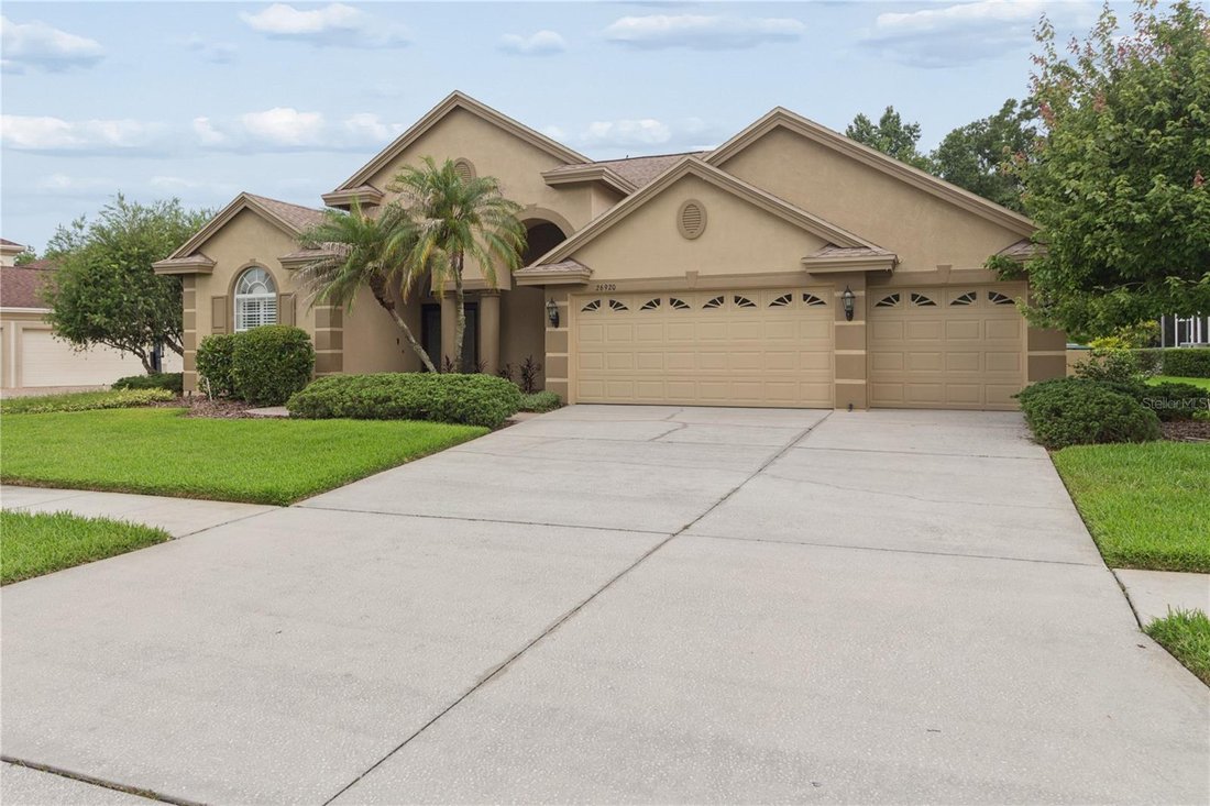 House in Wesley Chapel, Florida, United States 4 - 18422187