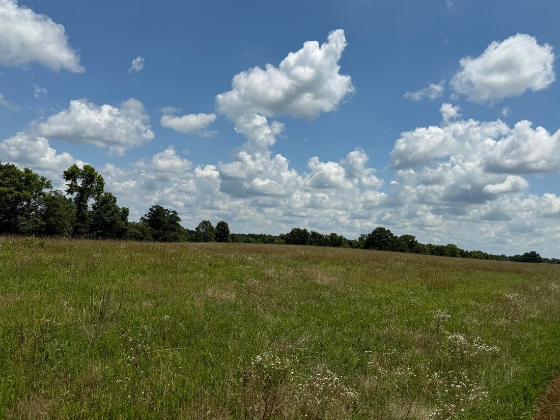 Farm Ranch in Mansfield, Missouri, United States 4 - 18422615