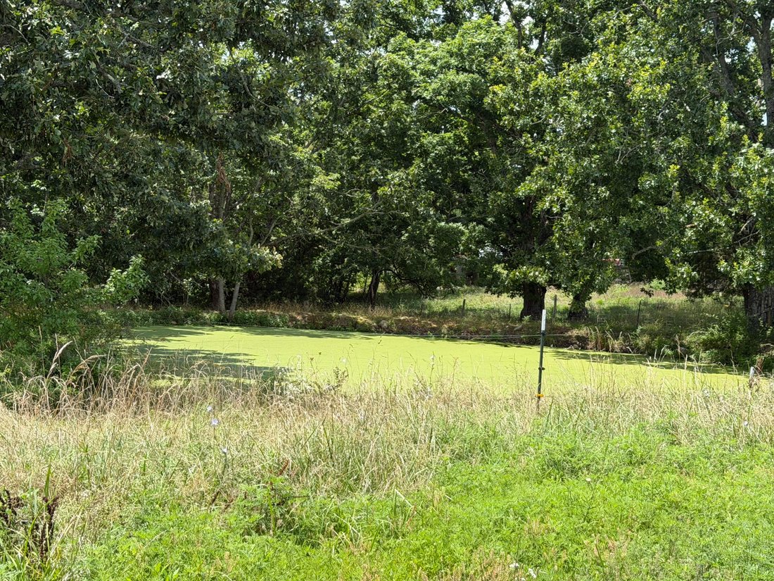 Farm Ranch in Mansfield, Missouri, United States 3 - 18422615