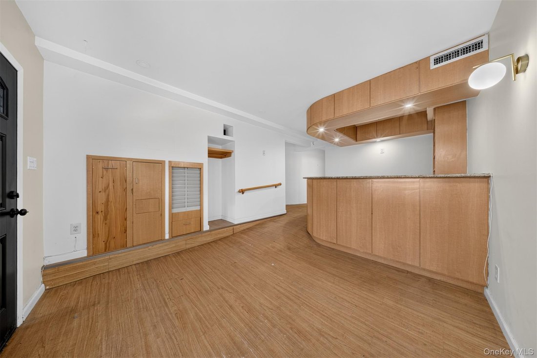 Condo in New York, New York, United States 4 - 18423453