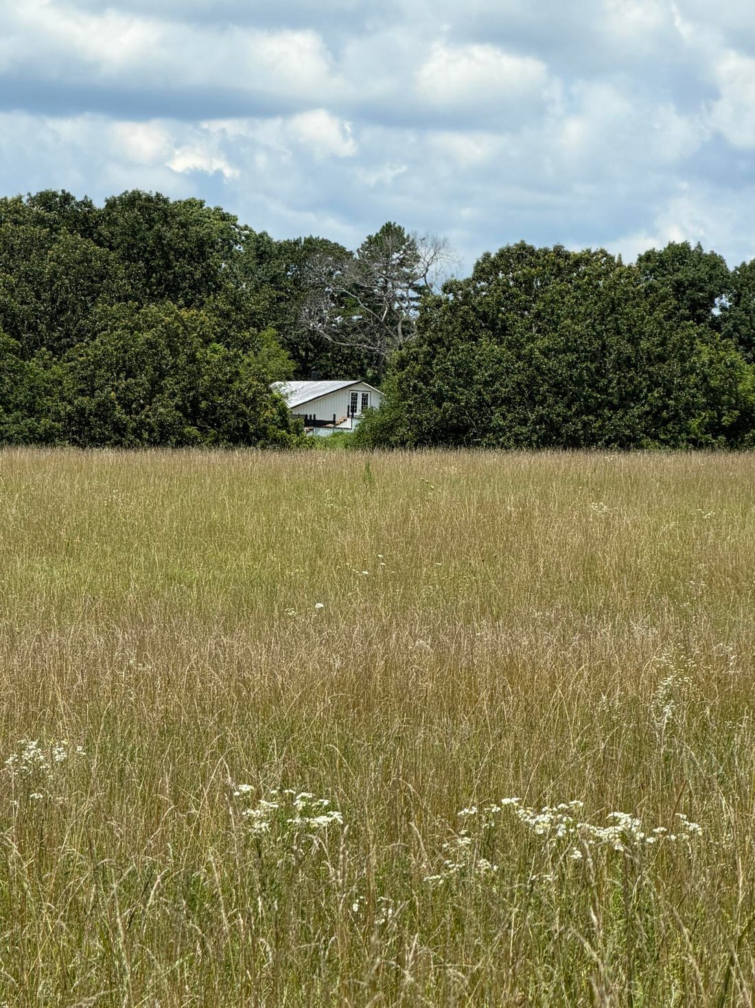 Farm Ranch in Mansfield, Missouri, United States 5 - 18422615