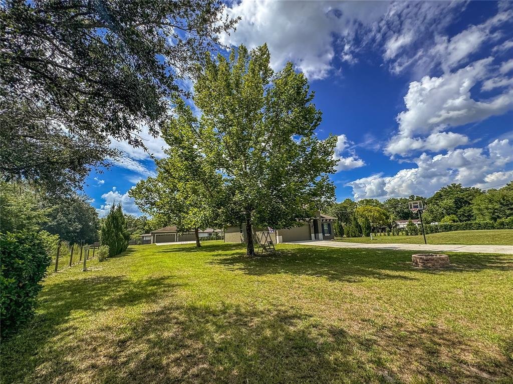 House in Land O' Lakes, Florida, United States 5 - 18421571