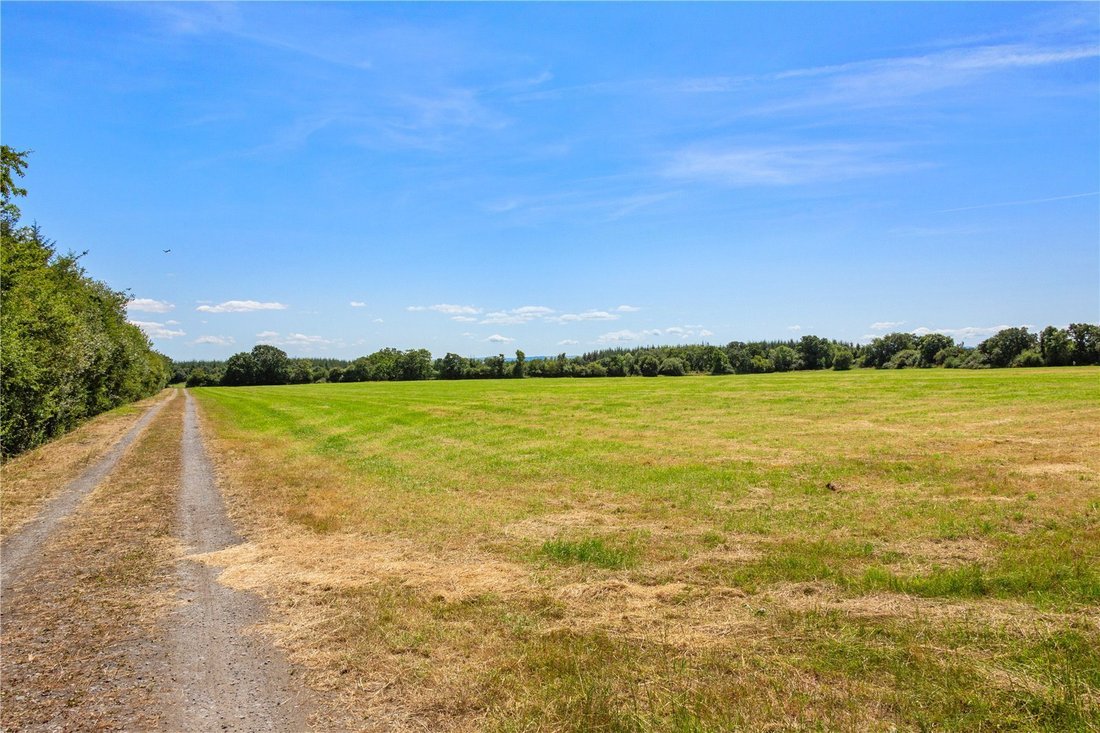 Land in Bonnettstown, County Kilkenny, Ireland 4 - 18423282