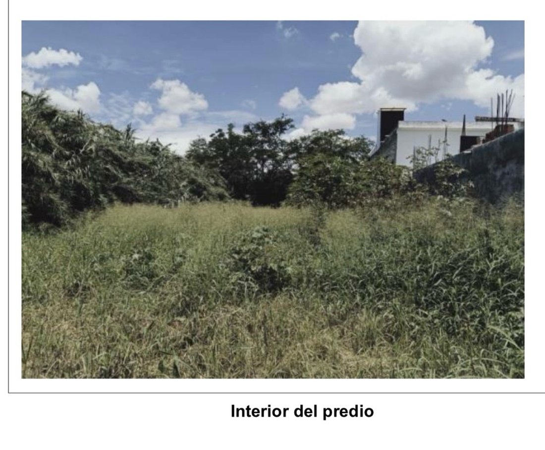 Land in Santa Cruz Xoxocotlán, Oaxaca, Mexico 4 - 18421271