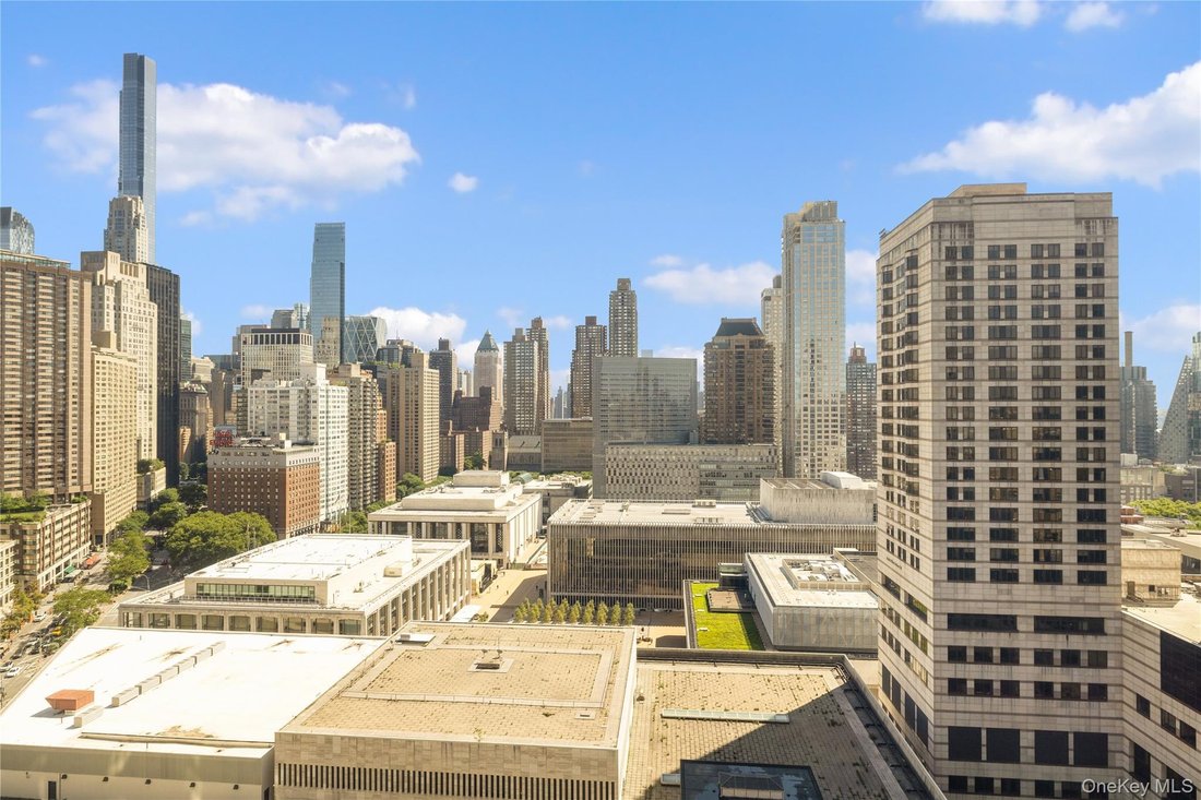 Condo in New York, New York, United States 3 - 18423458