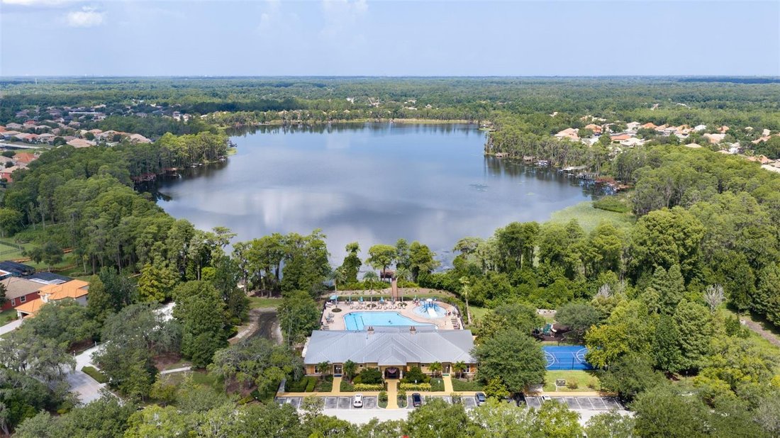 House in New Port Richey, Florida, United States 3 - 18422625