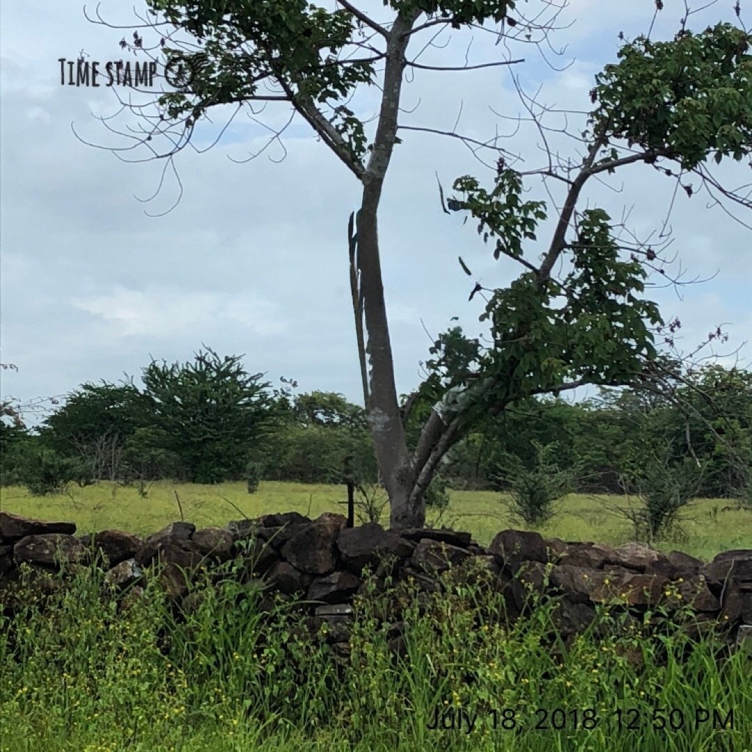 Land in Santa Ana, Guanacaste Province, Costa Rica 1 - 18422548