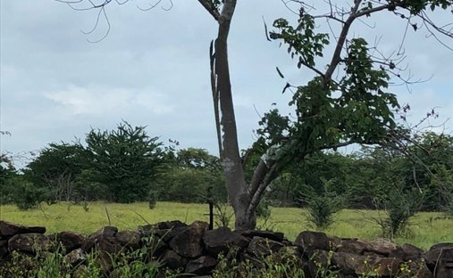 Land in Santa Ana, Guanacaste Province, Costa Rica 1