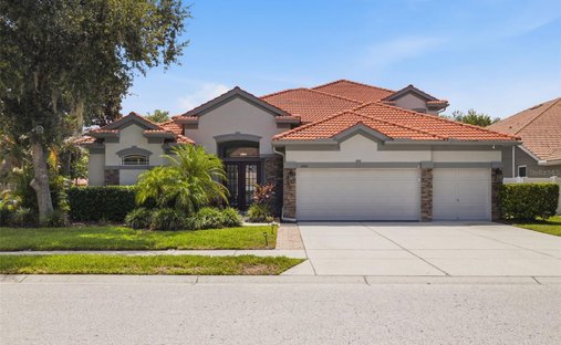 House in New Port Richey, Florida, United States 1