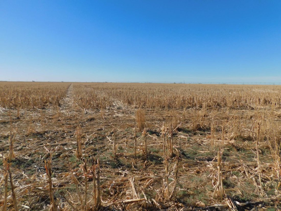 Land in Guymon, Oklahoma, United States 1 - 18423034