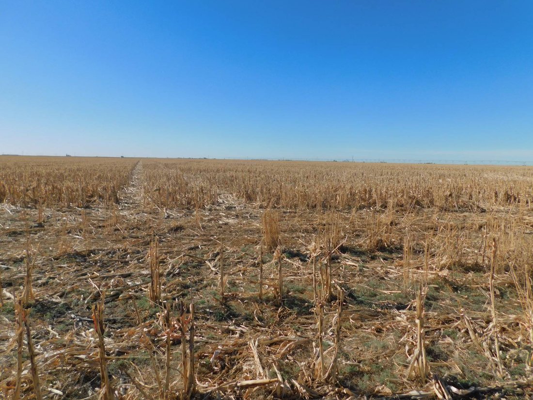 Land in Guymon, Oklahoma, United States 3 - 18423034