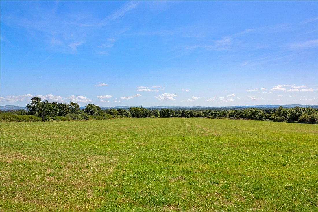 Land in Bonnettstown, County Kilkenny, Ireland 5 - 18423282