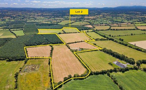 Land in Bonnettstown, County Kilkenny, Ireland 1