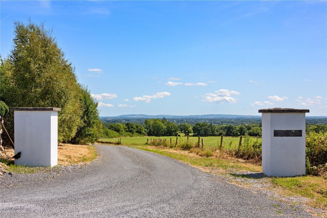 Land in Bonnettstown, County Kilkenny, Ireland 2 - 18423282