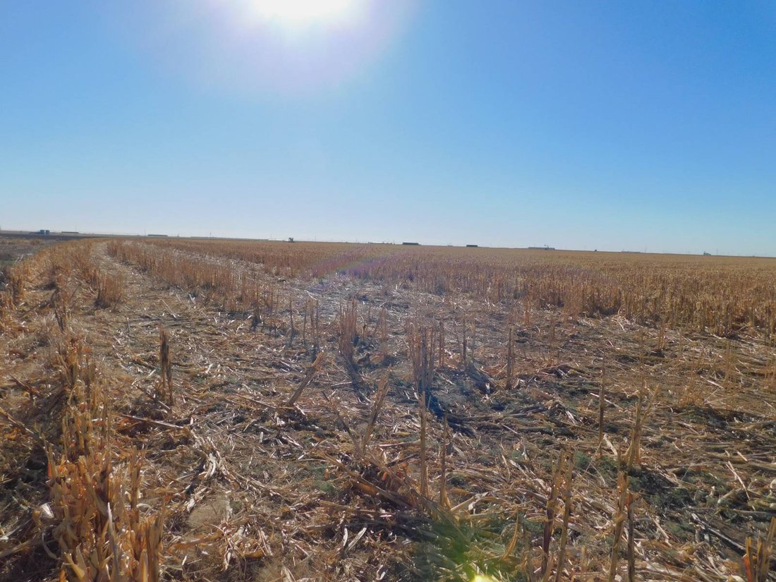 Land in Guymon, Oklahoma, United States 2 - 18423034