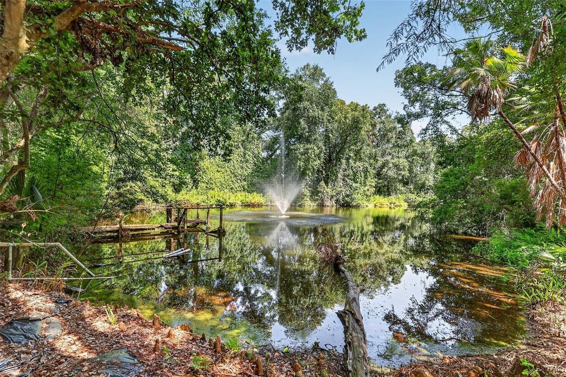 House in Eustis, Florida, United States 3 - 18422183