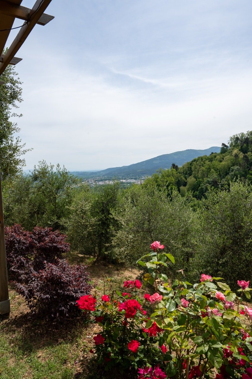 Country House in Historic Center, Lucca, Tuscany 5 - 18422247