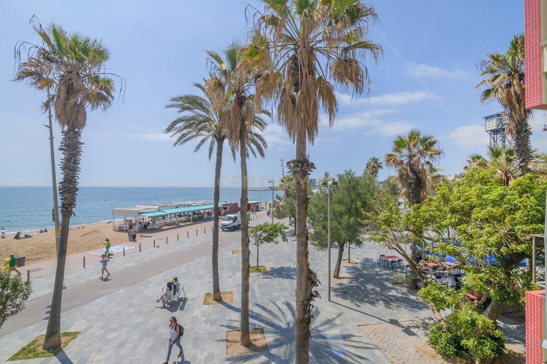 Apartment in la Barceloneta, Ciutat Vella, Barcelona 4 - 18048743