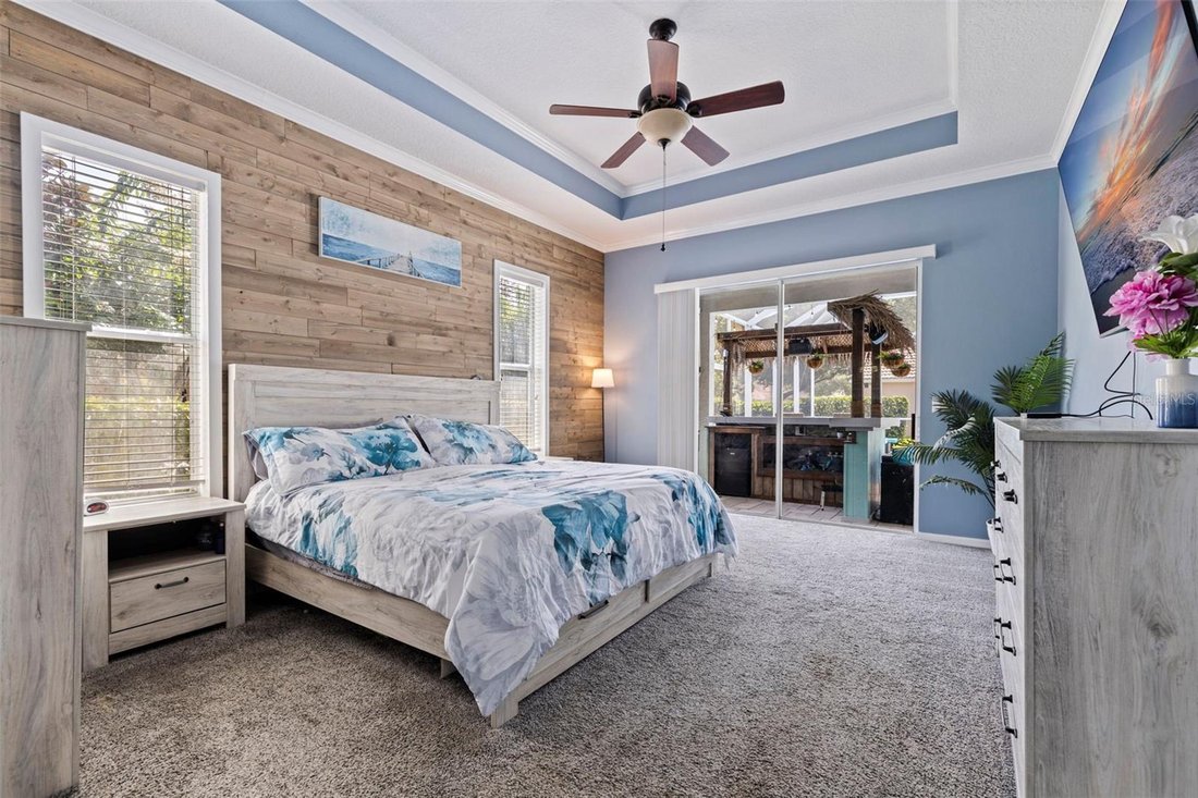 House in New Port Richey, Florida, United States 5 - 18422625