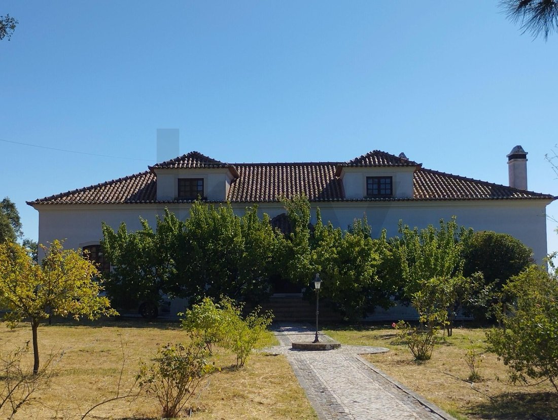 House in Chamusca e Pinheiro Grande, Santarem District, Portugal 1 - 18420734