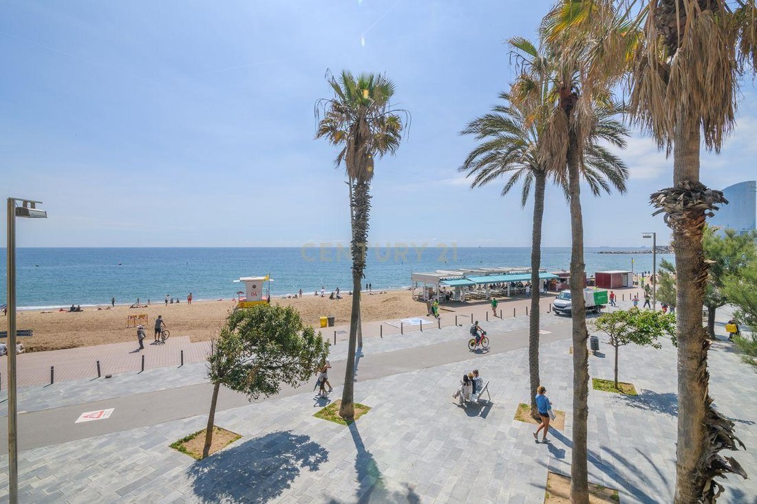 Apartment in la Barceloneta, Ciutat Vella, Barcelona 1 - 18048743