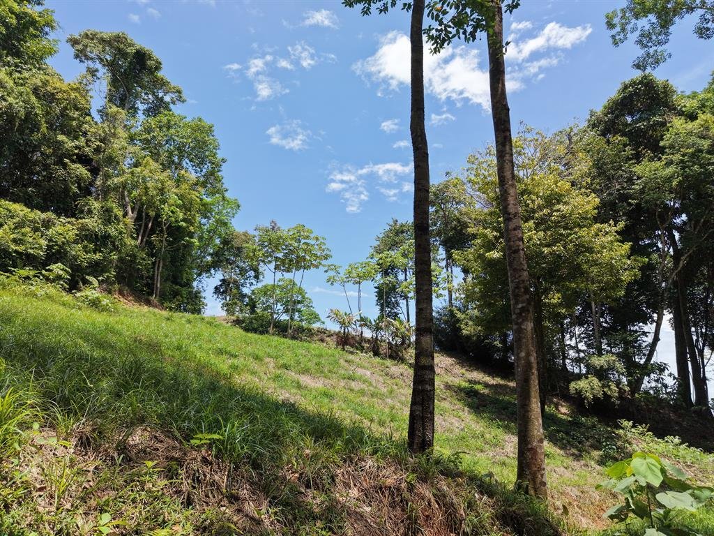 Terreno in Savegre, Provincia di Puntarenas, Costa Rica 4 - 18255376