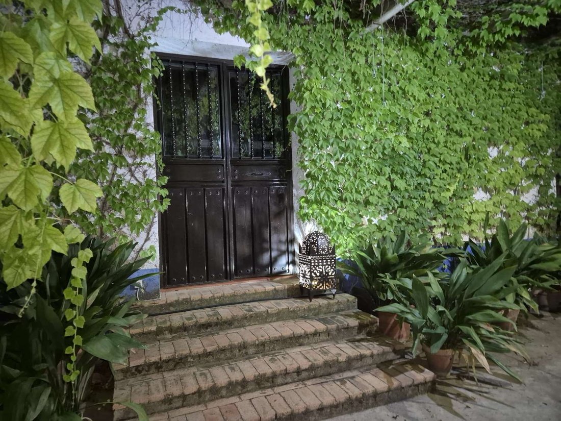 Finca in Peal de Becerro, Andalusia, Spain 4 - 18424123