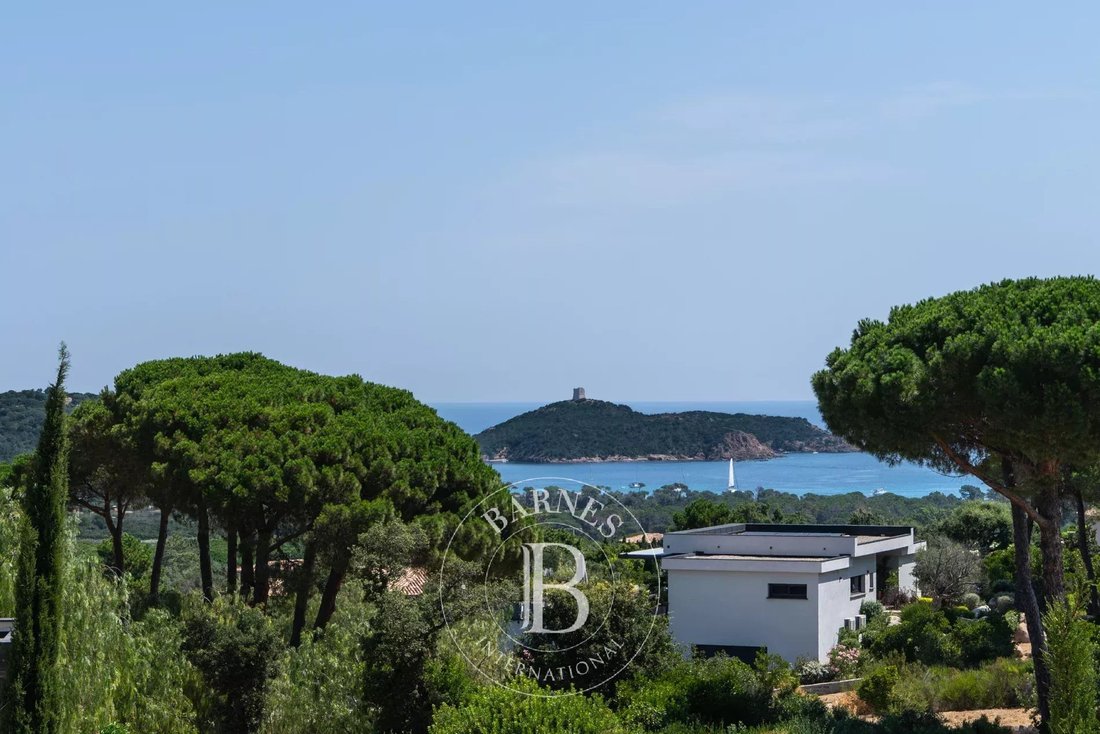 Villa in Zonza, Corsica, France 3 - 15892090