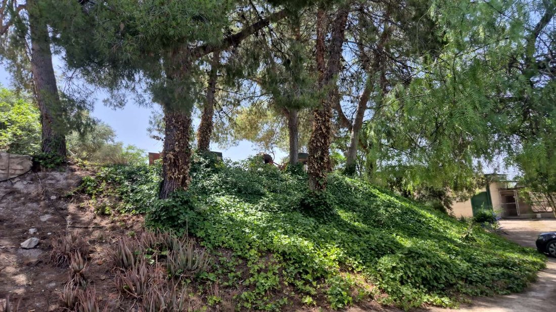 Finca in Peal de Becerro, Andalusia, Spain 3 - 18424123