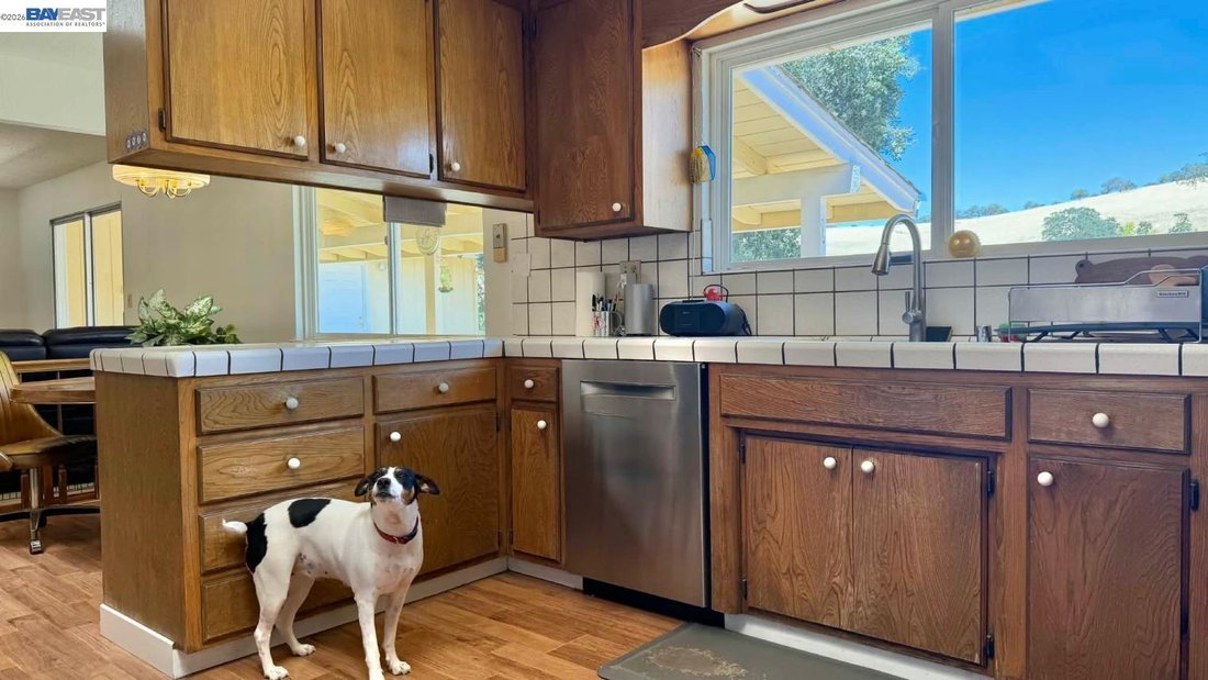 House in Brentwood, California, United States 3 - 18185257