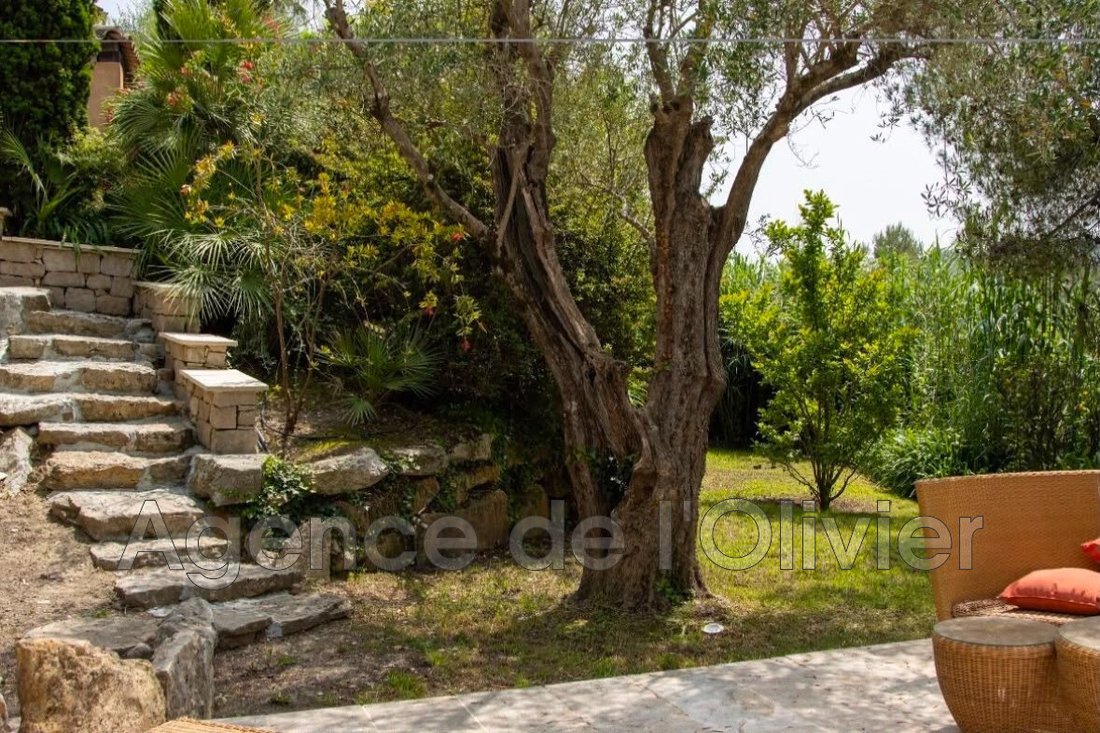 Villa in Nord, Roquefort-les-Pins, France 2 - 18421513