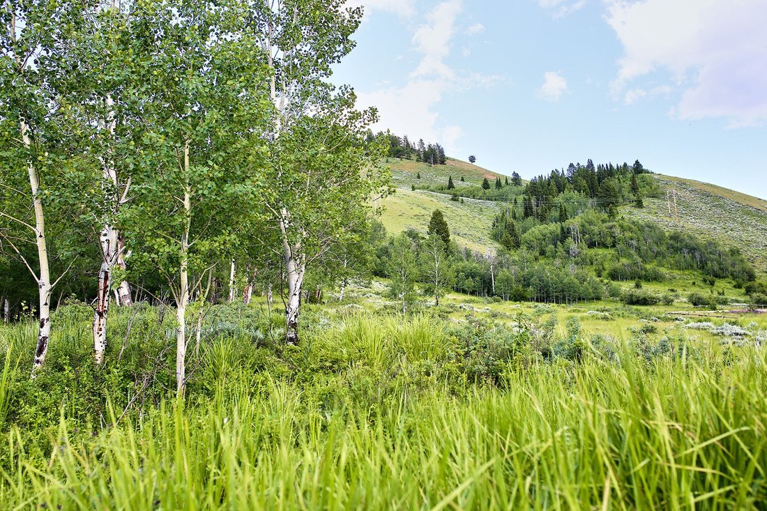 Land in Jackson, Wyoming, United States 5 - 18424358