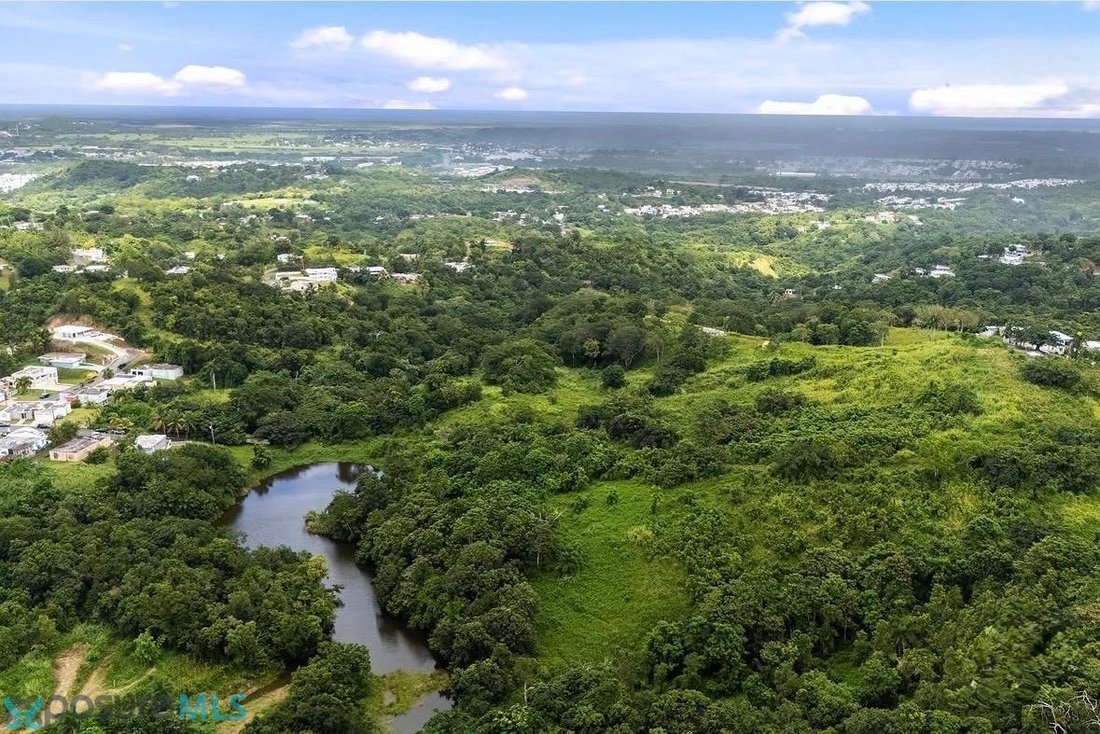 Land in Canóvanas, Canóvanas, Puerto Rico 5 - 18421301