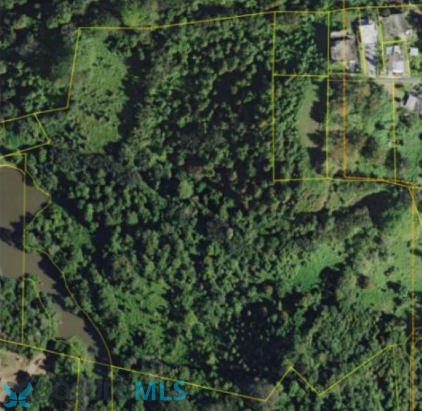 Land in Canóvanas, Canóvanas, Puerto Rico 1 - 18421301