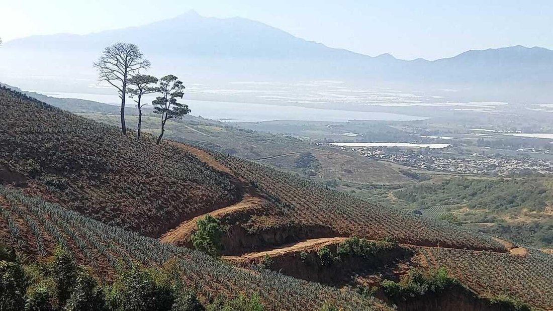 Land in San Sebastián del Sur, Jalisco, Mexico 2 - 18420468