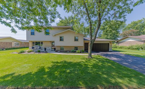 House in Frankfort, Illinois, United States 1