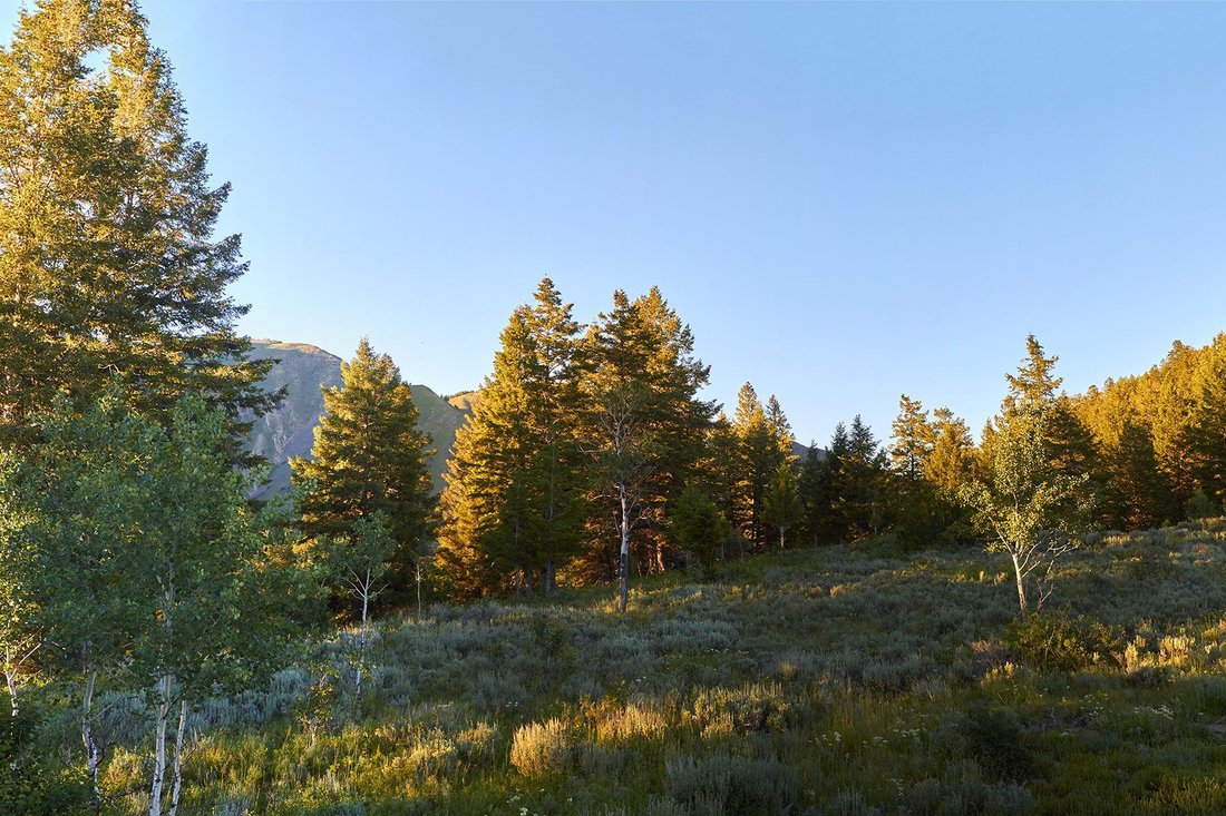 Land in Jackson, Wyoming, United States 3 - 18424351