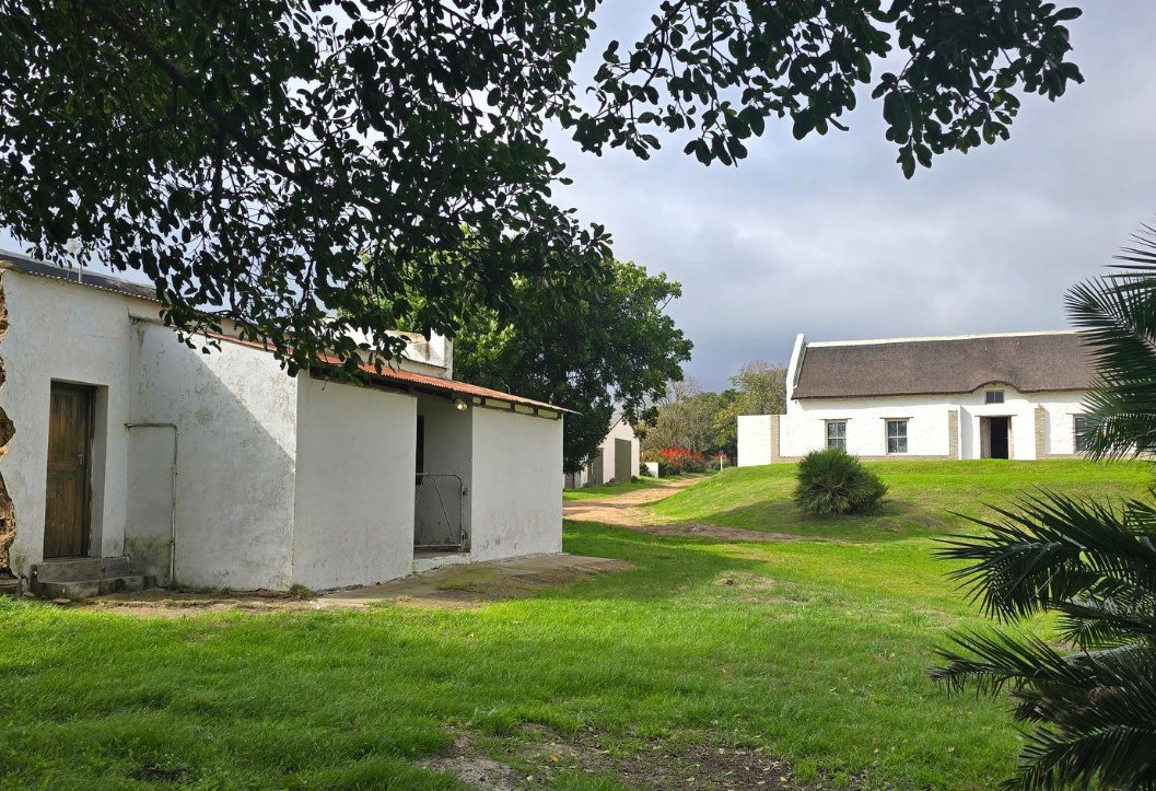 Farm Ranch in Johannesburg, Gauteng, South Africa 4 - 18420678