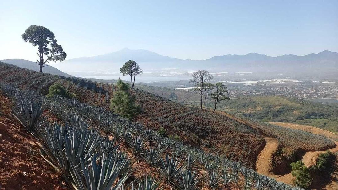 Land in San Sebastián del Sur, Jalisco, Mexico 4 - 18420468