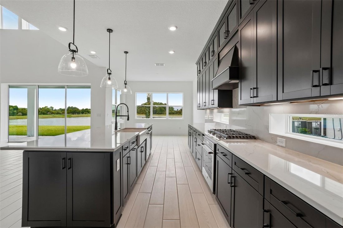 House in Wesley Chapel, Florida, United States 5 - 18422214