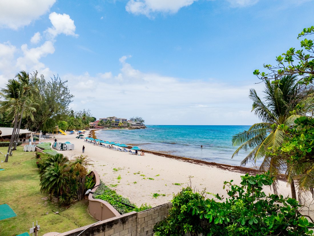 Land in Bridgetown, Christ Church, Barbados 5 - 18420602