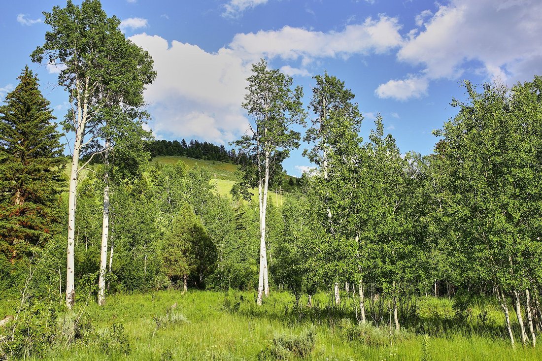 Land in Jackson, Wyoming, United States 4 - 18424358