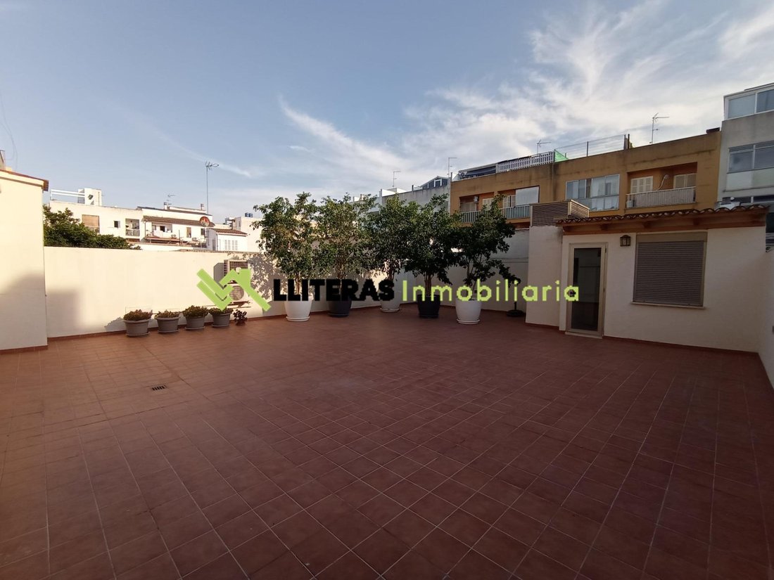 Altro a Inca, Isole Baleari, Spagna 3 - 18423486